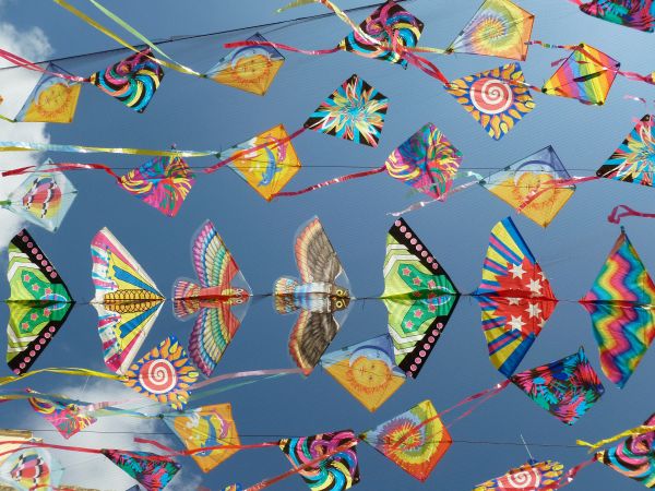 Международният фестивал на хвърчилата събира малки и големи в Албена на пъстър празник