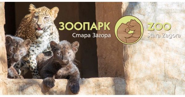 Леа, Лили и Данте – това са имената на новите животни в Старозагорския зоопарк