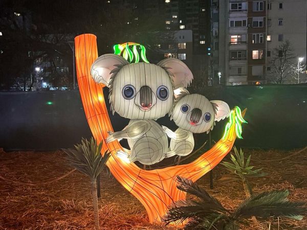 WinterLand представя над 170 светещи инсталации на животни, цветя, дървета в парк „Възраждане“ в София