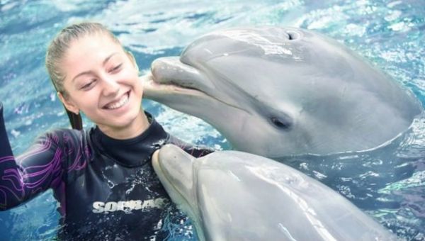 Отново можем да плуваме с делфините във Варна