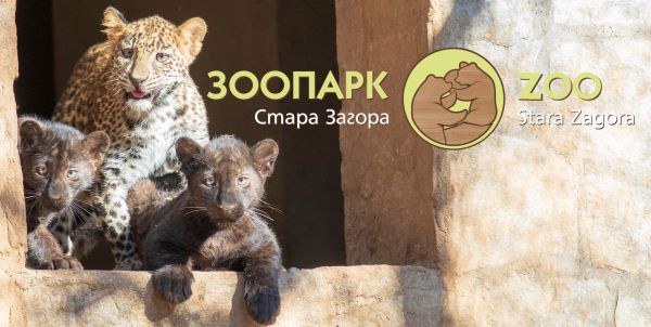 Зоопарк Стара Загора стартира лятно зооучилище „Млади приятели на животните“