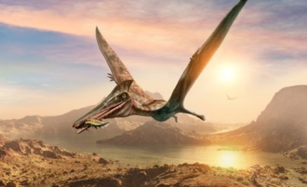 Летящ динозавър? Предполага се, че този вид е живял преди около 168 милиона години