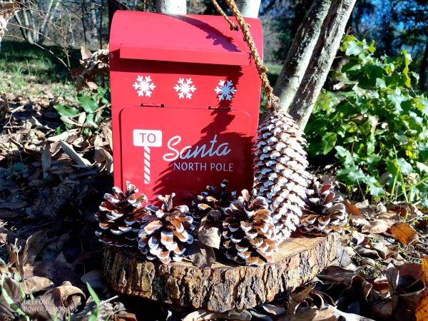 Животните от Старозагорския зоопарк канят на първия си Коледен базар Животните от Старозагорския зоопарк канят на първия си Коледен базар