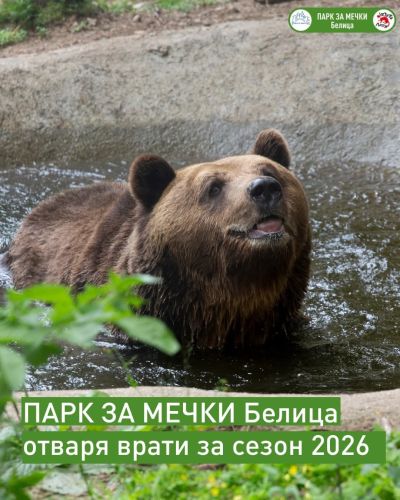 Пролетно пробуждане: Мечетата в Белица ни очакват от 1 април