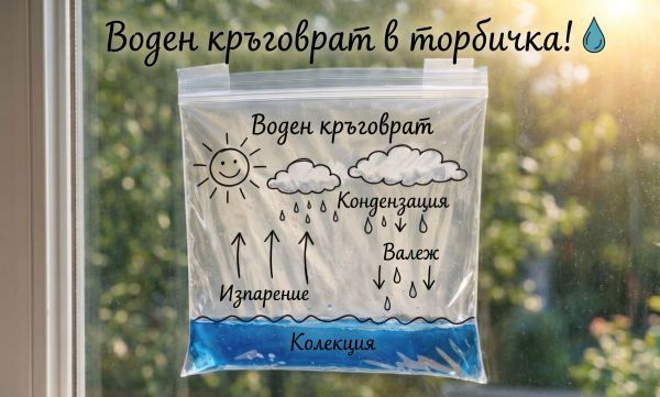 Как да хванем кръговрата на водата в торбичка? (забавен STEM експеримент)