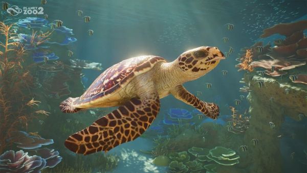 Гмурни се под водата и полети в небесата с новата игра Planet Zoo 2! Гмурни се под водата и полети в небесата с новата игра Planet Zoo 2!