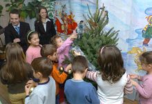 Живи елхи за детски градини в София