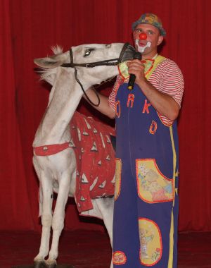 Софийският постоянен цирк на сцена открива новия си сезон с ученото магаре Пепи