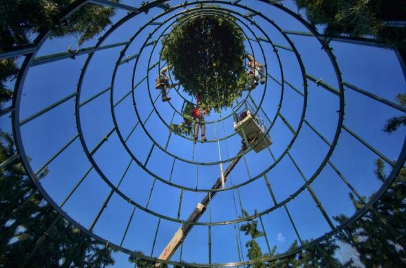 Фотопоглед