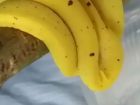 Тези банани изглеждат супер, но защо единия е с очи......