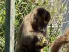 Снимка: Зоопарк Бургас / ZOO Burgas-различният зоопарк