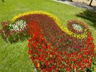  Снимка: Димитър Кьосемарлиев
