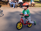 Детски велокрос 2013 в снимки
