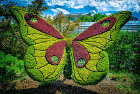 Приказните скулптури от растения на ботаническата градина в Атланта